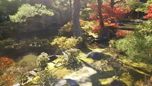 慈照寺（慈照禅寺・銀閣寺）の庭園