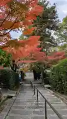 安養寺(京都府)