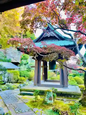 海蔵寺(神奈川県)