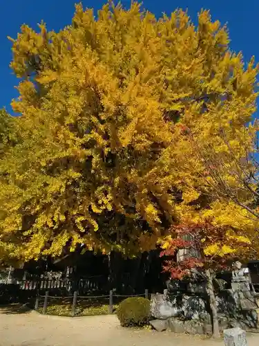 筒賀大歳神社(広島県)