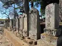 七右衛門新田稲荷神社(千葉県)