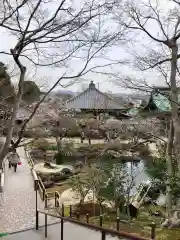 長谷寺の庭園