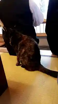 五十稲荷神社(栄寿稲荷神社)(東京都)