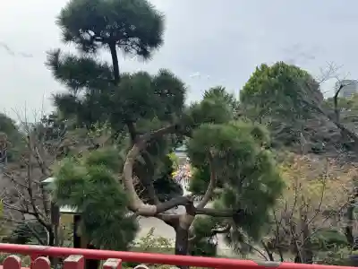 清水観音堂(東京都)