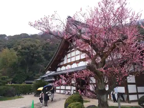 金寶山 瑞龍寺の建物その他