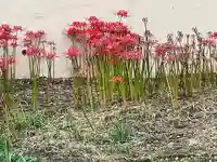 東福寺(東京都)