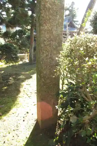 覚王寺のその他建物