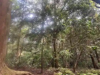 鹿島神宮(茨城県)