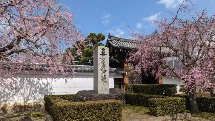 妙顯寺(妙顕寺)(京都府)