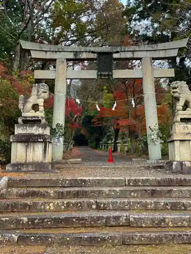 日撫神社の鳥居