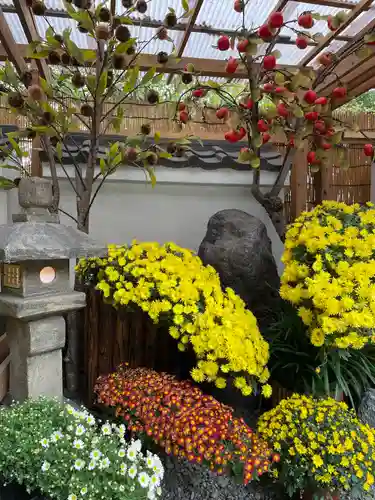 牛天神北野神社の庭園