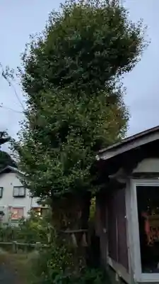 蛭子神社の自然