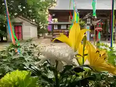 滑川神社 - 仕事と子どもの守り神の手水