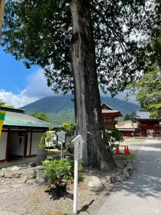中禅寺(栃木県)
