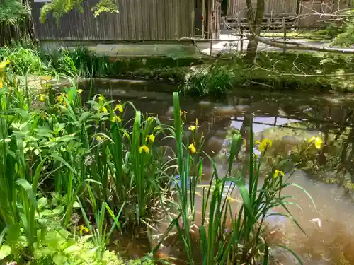 中尊寺 弁財天堂(岩手県)