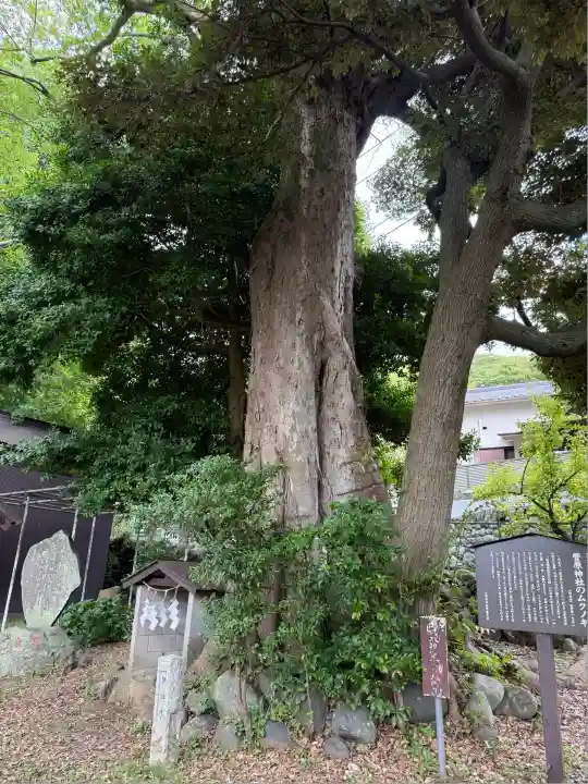 菅原神社(神奈川県)