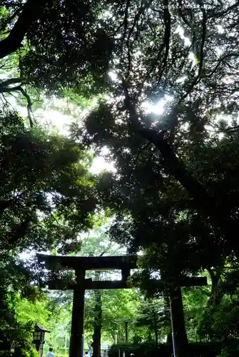 明治神宮(東京都)