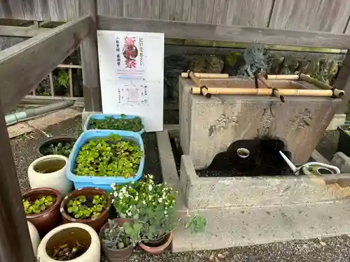 神館飯野高市本多神社(三重県)