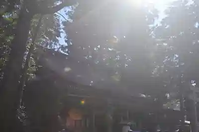 鹿島神宮(茨城県)