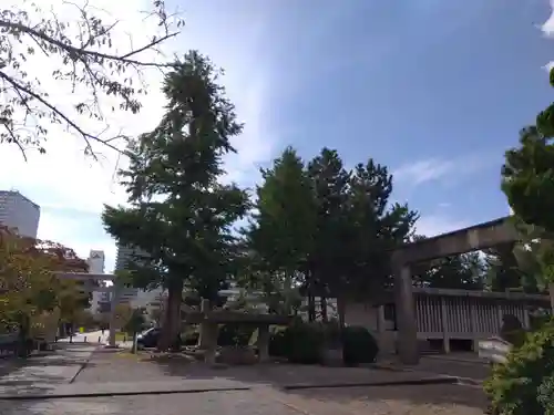 福井神社(福井県)