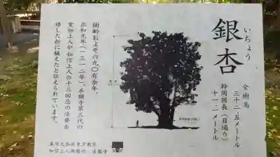如信上人御廟所法龍寺の自然
