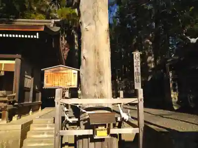 諏訪大社下社秋宮のその他建物