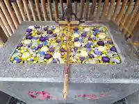 高円寺氷川神社(東京都)