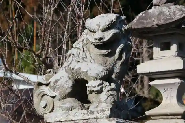 中津川神社の狛犬