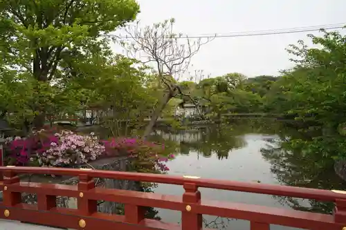 鶴岡八幡宮の庭園