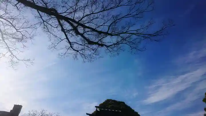 尾張大國霊神社(国府宮)の自然