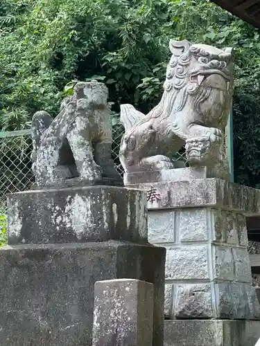 杉山神社の狛犬