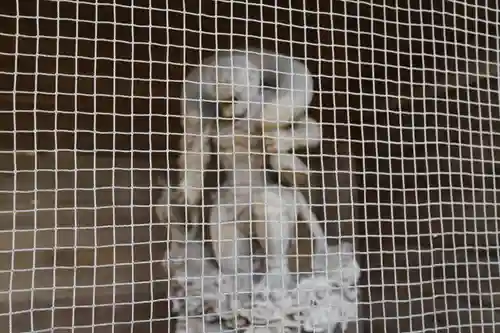 大祥寺(岩手県)