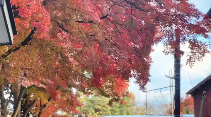 志波彦神社・鹽竈神社(宮城県)
