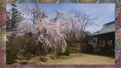 境香取神社(茨城県)