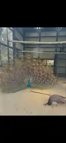 岩槻久伊豆神社(埼玉県)