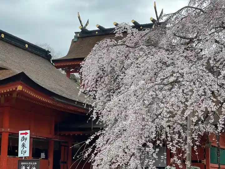 富士山本宮浅間大社の自然