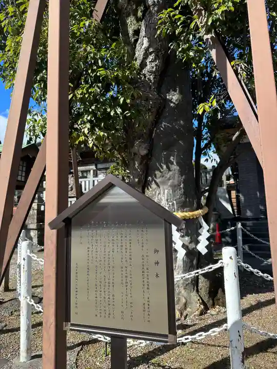 村國真墨田神社(岐阜県)