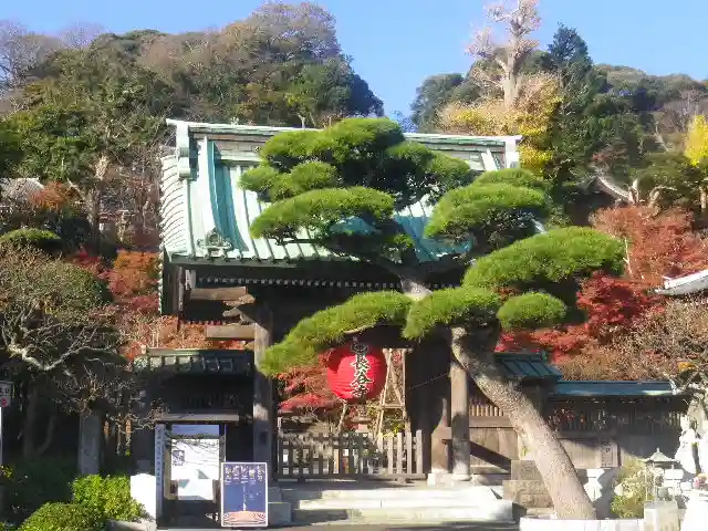 長谷寺の山門・神門