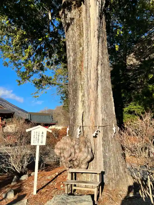 中禅寺の{uncategorized: "未分類", other: "その他", undefined: "問題あり", building: "その他建物", grave: "お墓", sacred_gate: "鳥居", guardian: "狛犬", statue: "像", buddha: "仏像", history: "歴史", nature: "自然", garden: "庭園", animal: "動物", pagoda: "塔", temizu: "手水舎", mountain_gate: "山門・神門", sanctuary: "本殿・本堂", subordinate: "末社・摂社", art: "芸術", scenery: "景色", jizo: "地蔵", ema: "絵馬", goshuin: "御朱印", omikuji: "おみくじ", items: "授与品その他", amulet: "お守り", goshuincho: "御朱印帳", eats: "食事", festival: "お祭り", votive_dance: "神楽", shichigosan: "七五三参", wedding: "結婚式", experience: "体験その他", initially: "初詣", around: "周辺", anti_infection: "感染症対策"}