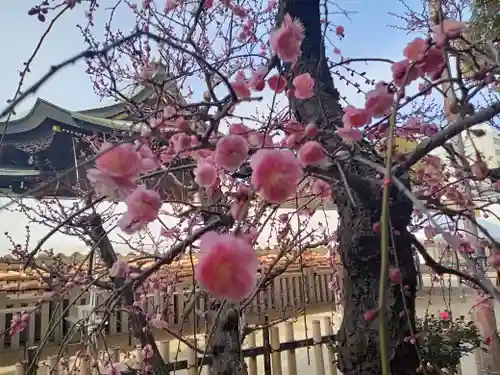 大阪天満宮の自然