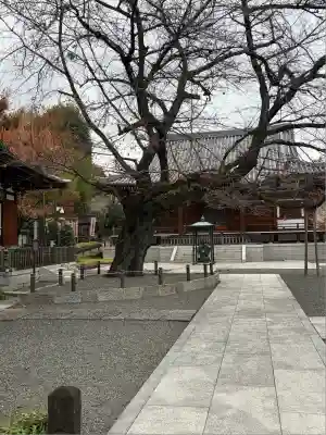 智清寺(東京都)