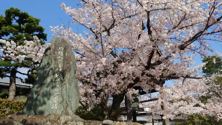 妙顯寺(妙顕寺)の自然