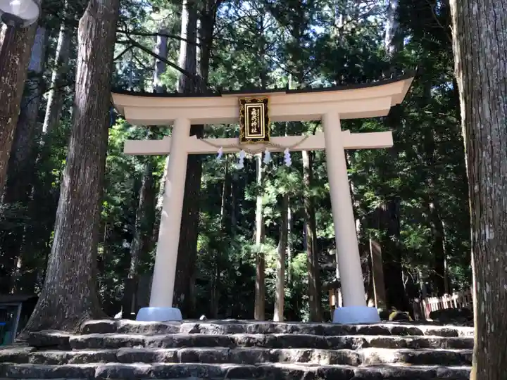 飛瀧神社(熊野那智大社別宮)の鳥居