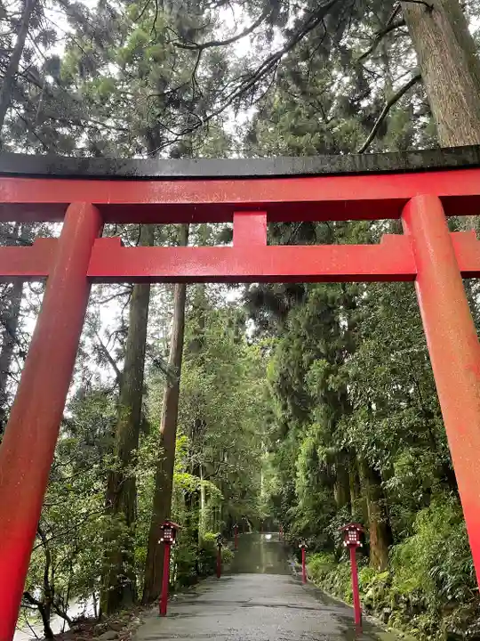 箱根神社の鳥居
