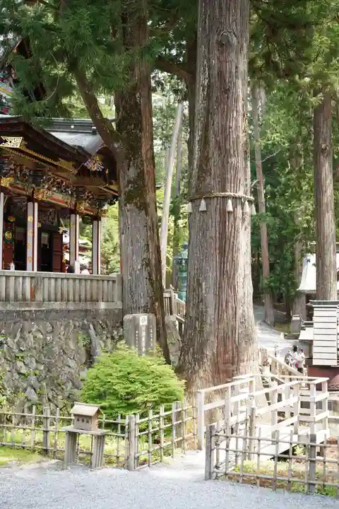 三峯神社(埼玉県)