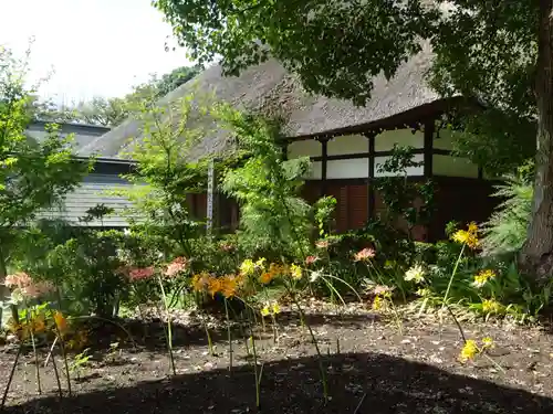 横浜　西方寺の自然