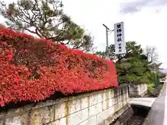 磐梯神社(福島県)