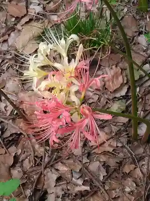 横浜　西方寺(神奈川県)
