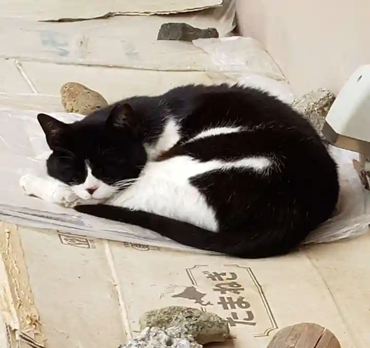 白金氷川神社(東京都)