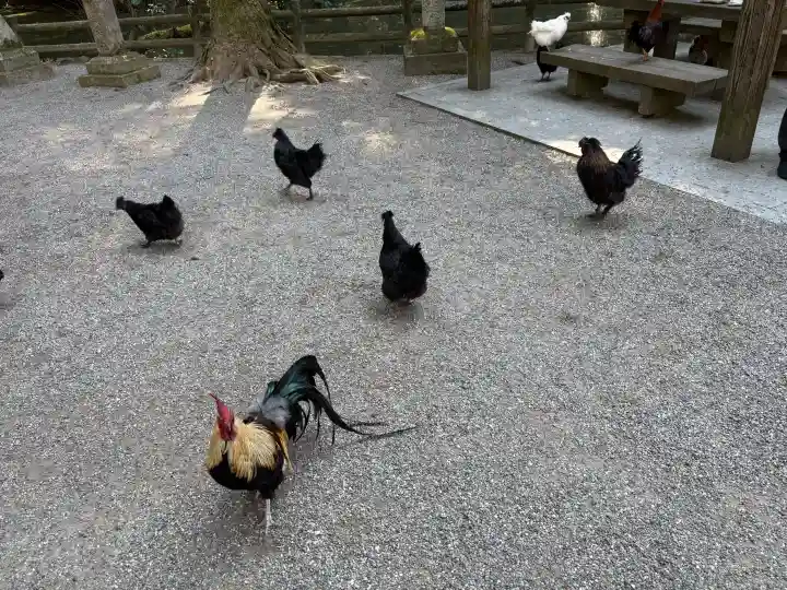 石上神宮の{uncategorized: "未分類", other: "その他", undefined: "問題あり", building: "その他建物", grave: "お墓", sacred_gate: "鳥居", guardian: "狛犬", statue: "像", buddha: "仏像", history: "歴史", nature: "自然", garden: "庭園", animal: "動物", pagoda: "塔", temizu: "手水舎", mountain_gate: "山門・神門", sanctuary: "本殿・本堂", subordinate: "末社・摂社", art: "芸術", scenery: "景色", jizo: "地蔵", ema: "絵馬", goshuin: "御朱印", omikuji: "おみくじ", items: "授与品その他", amulet: "お守り", goshuincho: "御朱印帳", eats: "食事", festival: "お祭り", votive_dance: "神楽", shichigosan: "七五三参", wedding: "結婚式", experience: "体験その他", initially: "初詣", around: "周辺", anti_infection: "感染症対策"}